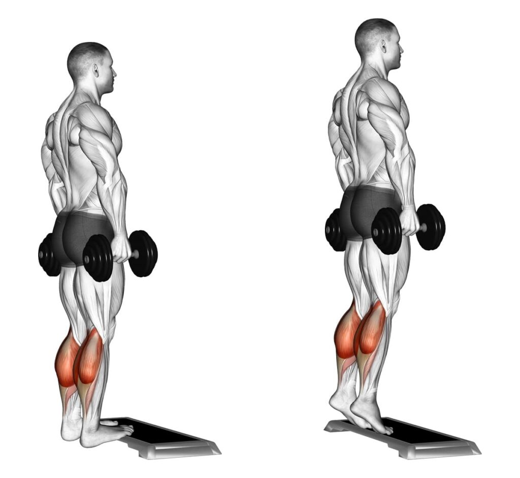 5 calf raise best exercise at home